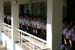 P1450851 (Small)
